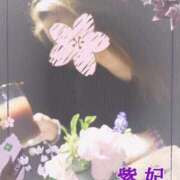 ヒメ日記 2026/03/20 16:49 投稿 紫妃（しき） ファーストレディ(博多)