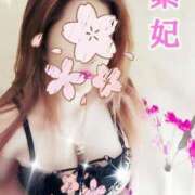 ヒメ日記 2026/03/22 17:30 投稿 紫妃（しき） ファーストレディ(博多)