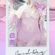 紫妃（しき） [お題]from:５千本紅葉さん ファーストレディ(博多)