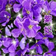 ヒメ日記 2026/05/07 10:35 投稿 紫妃（しき） ファーストレディ(博多)