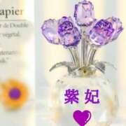 ヒメ日記 2026/07/16 07:09 投稿 紫妃（しき） ファーストレディ(博多)