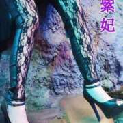 ヒメ日記 2026/09/25 01:37 投稿 紫妃（しき） ファーストレディ(博多)
