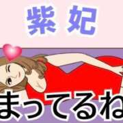 ヒメ日記 2026/10/21 15:55 投稿 紫妃（しき） ファーストレディ(博多)