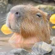 かえで シフト 丸妻 町田店