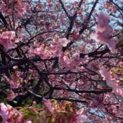 ヒメ日記 2026/02/17 17:18 投稿 かえで 丸妻 町田店