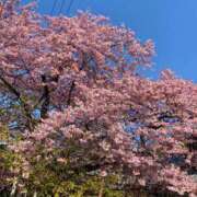 ヒメ日記 2026/02/18 15:49 投稿 かえで 丸妻 町田店