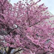 ヒメ日記 2026/03/20 09:11 投稿 かえで 丸妻 町田店