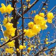 ヒメ日記 2025/01/18 18:28 投稿 ちずる 熟女の風俗最終章 高崎店