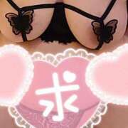 ヒメ日記 2025/02/01 13:38 投稿 ちずる 熟女の風俗最終章 高崎店