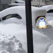 ヒメ日記 2025/02/08 11:38 投稿 ちずる 熟女の風俗最終章 高崎店