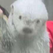 ヒメ日記 2025/02/20 20:34 投稿 ちずる 熟女の風俗最終章 高崎店