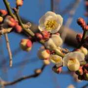 ヒメ日記 2025/02/24 08:13 投稿 ちずる 熟女の風俗最終章 高崎店