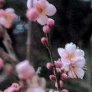 ヒメ日記 2025/02/25 06:38 投稿 ちずる 熟女の風俗最終章 高崎店