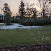 ヒメ日記 2025/03/06 07:18 投稿 ちずる 熟女の風俗最終章 高崎店