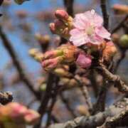 ヒメ日記 2025/03/06 21:18 投稿 ちずる 熟女の風俗最終章 高崎店