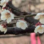 ヒメ日記 2025/03/10 16:48 投稿 ちずる 熟女の風俗最終章 高崎店