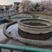 ヒメ日記 2025/03/11 08:48 投稿 ちずる 熟女の風俗最終章 高崎店