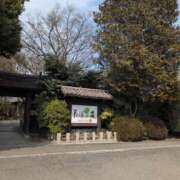 ヒメ日記 2025/03/12 20:18 投稿 ちずる 熟女の風俗最終章 高崎店