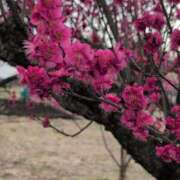 ヒメ日記 2025/03/14 09:38 投稿 ちずる 熟女の風俗最終章 高崎店