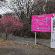 ヒメ日記 2025/03/15 07:28 投稿 ちずる 熟女の風俗最終章 高崎店