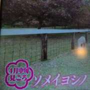 ヒメ日記 2025/03/23 08:30 投稿 ちずる 熟女の風俗最終章 高崎店