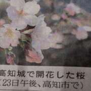 ヒメ日記 2025/03/25 19:08 投稿 ちずる 熟女の風俗最終章 高崎店