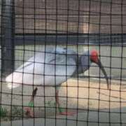 ヒメ日記 2025/03/27 15:08 投稿 ちずる 熟女の風俗最終章 高崎店