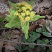 ヒメ日記 2025/03/29 11:28 投稿 ちずる 熟女の風俗最終章 高崎店