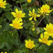 ヒメ日記 2025/04/03 20:38 投稿 ちずる 熟女の風俗最終章 高崎店