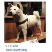 ヒメ日記 2025/04/08 17:58 投稿 ちずる 熟女の風俗最終章 高崎店