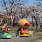 ヒメ日記 2025/04/09 12:38 投稿 ちずる 熟女の風俗最終章 高崎店