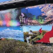 ヒメ日記 2025/04/09 13:08 投稿 ちずる 熟女の風俗最終章 高崎店