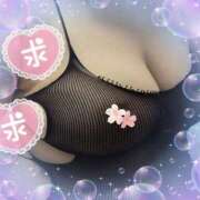 ヒメ日記 2025/04/10 07:58 投稿 ちずる 熟女の風俗最終章 高崎店