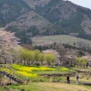 ヒメ日記 2025/04/10 11:26 投稿 ちずる 熟女の風俗最終章 高崎店