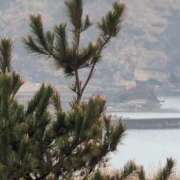 ヒメ日記 2025/04/11 14:28 投稿 ちずる 熟女の風俗最終章 高崎店