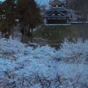 ヒメ日記 2025/04/11 16:13 投稿 ちずる 熟女の風俗最終章 高崎店