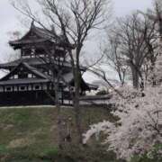 ヒメ日記 2025/04/11 16:48 投稿 ちずる 熟女の風俗最終章 高崎店