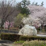 ヒメ日記 2025/04/13 09:14 投稿 ちずる 熟女の風俗最終章 高崎店