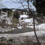 ヒメ日記 2025/04/14 11:28 投稿 ちずる 熟女の風俗最終章 高崎店