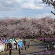 ヒメ日記 2025/04/14 16:48 投稿 ちずる 熟女の風俗最終章 高崎店