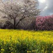 ヒメ日記 2025/04/14 18:30 投稿 ちずる 熟女の風俗最終章 高崎店