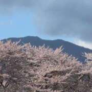 ヒメ日記 2025/04/15 11:28 投稿 ちずる 熟女の風俗最終章 高崎店