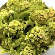 ヒメ日記 2025/04/15 11:57 投稿 ちずる 熟女の風俗最終章 高崎店