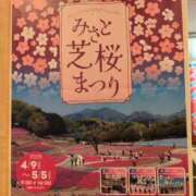 ヒメ日記 2025/04/16 12:38 投稿 ちずる 熟女の風俗最終章 高崎店