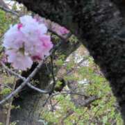 ヒメ日記 2025/04/16 12:58 投稿 ちずる 熟女の風俗最終章 高崎店