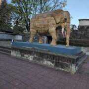 ヒメ日記 2025/04/16 13:48 投稿 ちずる 熟女の風俗最終章 高崎店