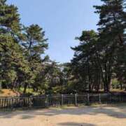 ヒメ日記 2025/04/17 09:28 投稿 ちずる 熟女の風俗最終章 高崎店