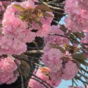 ヒメ日記 2025/04/17 09:48 投稿 ちずる 熟女の風俗最終章 高崎店