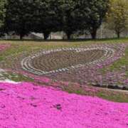 ヒメ日記 2025/04/17 11:08 投稿 ちずる 熟女の風俗最終章 高崎店