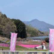 ヒメ日記 2025/04/17 12:01 投稿 ちずる 熟女の風俗最終章 高崎店